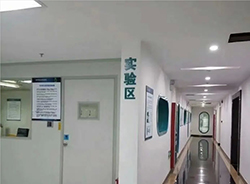 宁夏隐私亲子鉴定费用是多少，宁夏匿名亲子鉴定流程