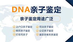 宁夏司法亲子鉴定在哪个地方做(附鉴定中心电话)