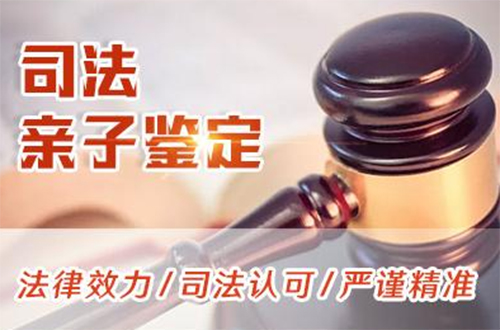 宁夏司法亲子鉴定需要如何做,宁夏司法DNA亲子鉴定出结果要多久