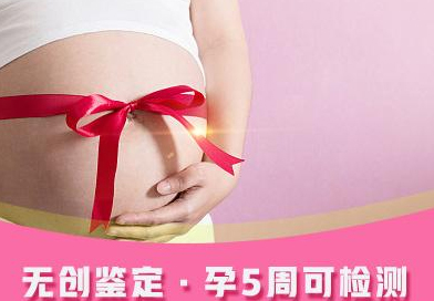 宁夏孕期亲子鉴定到哪里办理,宁夏孕期亲子鉴定出结果要多久